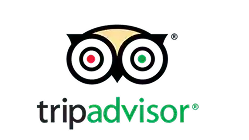 Brand Name : Brand Short Description Type Here.